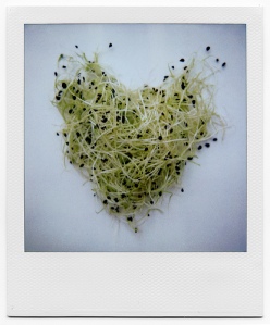 sprouts-heart